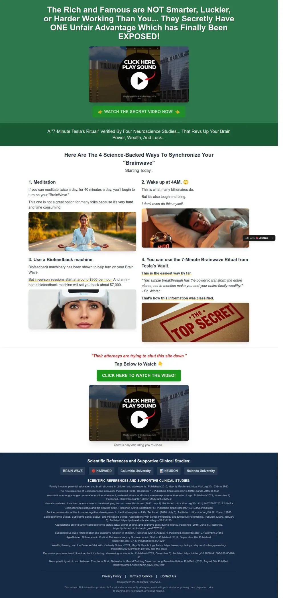 Focus, Memory & Mental Performance Landing Page